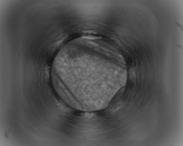 X0000092050570200710101018