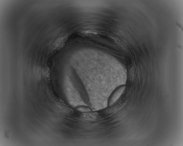 X0000092050571200710101018