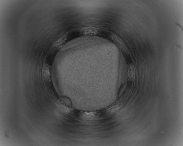 X0000092050573200710101018