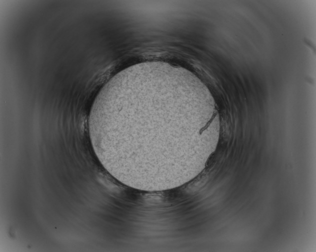 X0000092050574200710101018