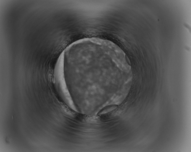 X0000092050576200710101018