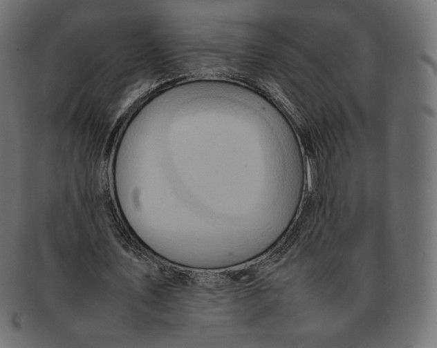 X0000092050579200710101017