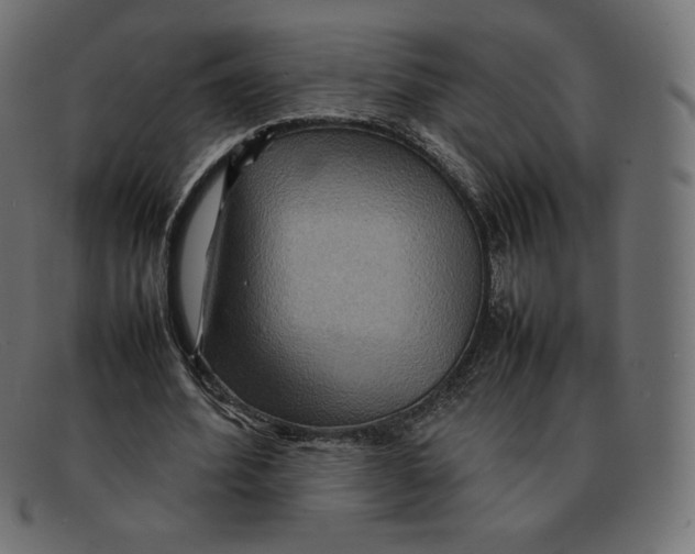 X0000092050580200710101017