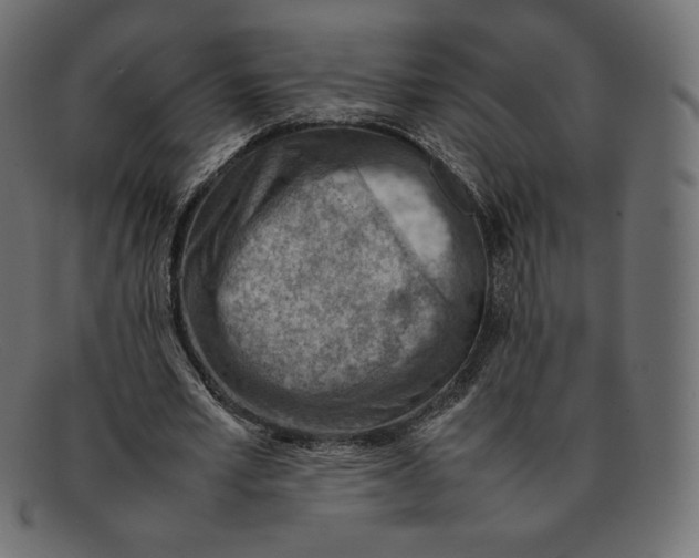 X0000092050581200710101017