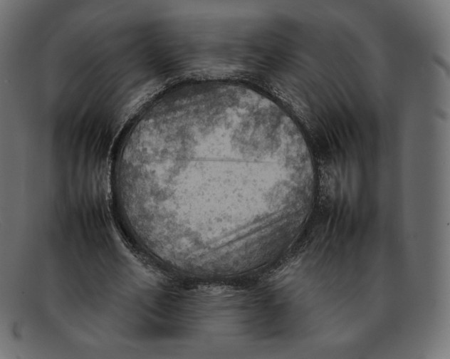 X0000092050582200710101017