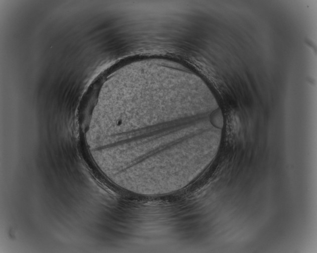 X0000092050584200710101017