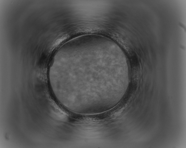 X0000092050585200710101017