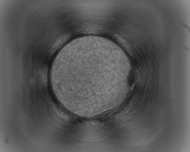 X0000092050586200710101017