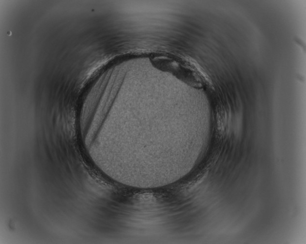 X0000092050588200710101017