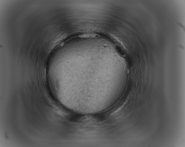 X0000092050589200710101017