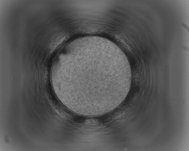 X0000092050591200710101017