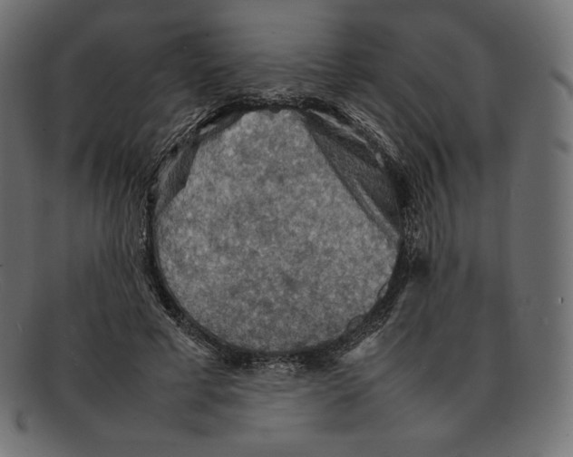 X0000092050593200710101017