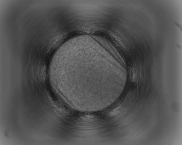 X0000092050594200710101017