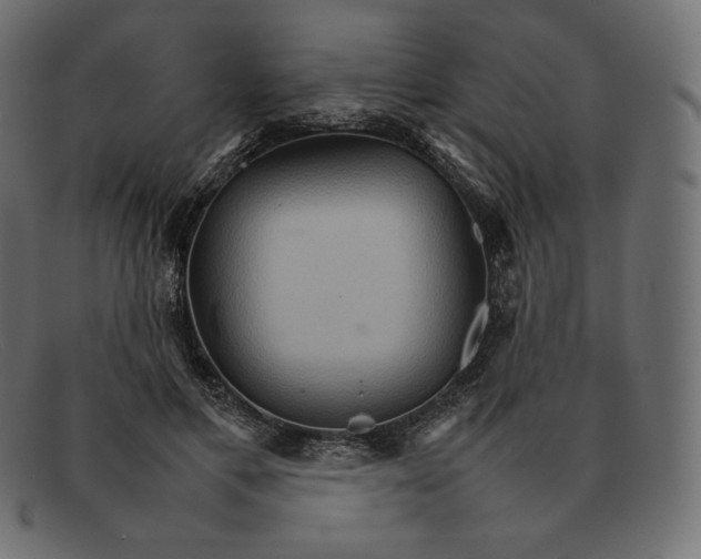 X0000092050597200710101017