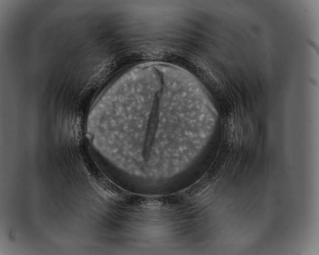 X0000092050598200710101017