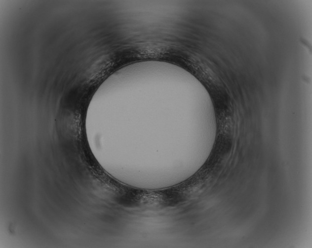 X0000092050599200710101017