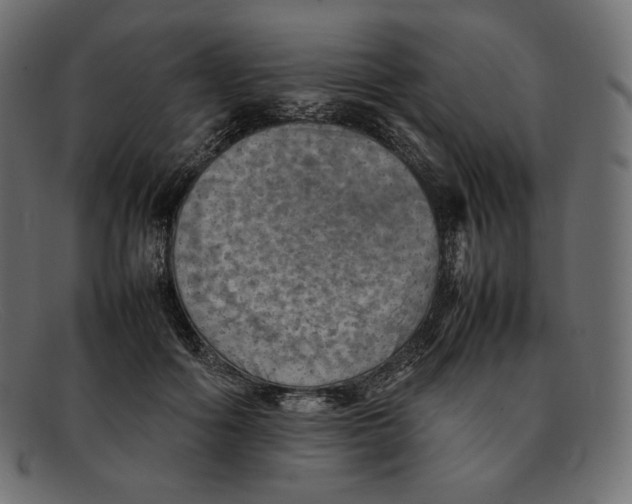 X0000092050602200710101017