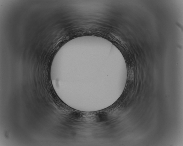 X0000092050603200710101017