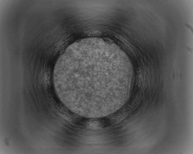 X0000092050604200710101017