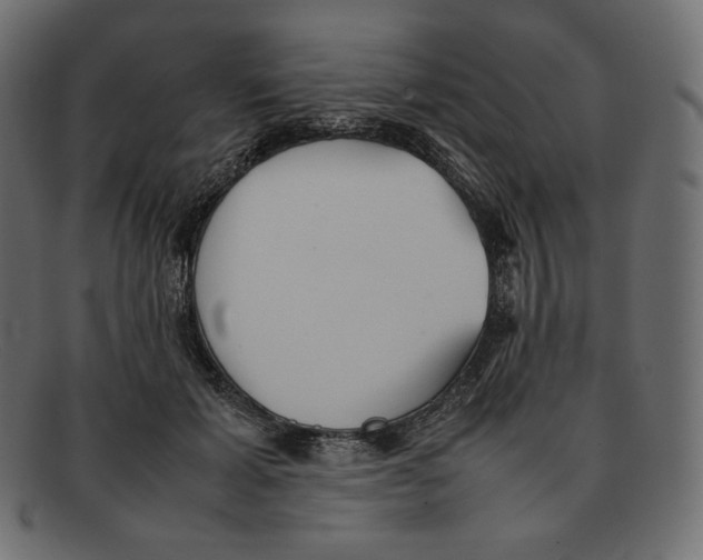 X0000092050605200710101017