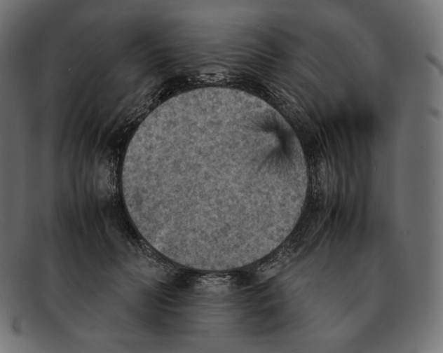 X0000092050606200710101017