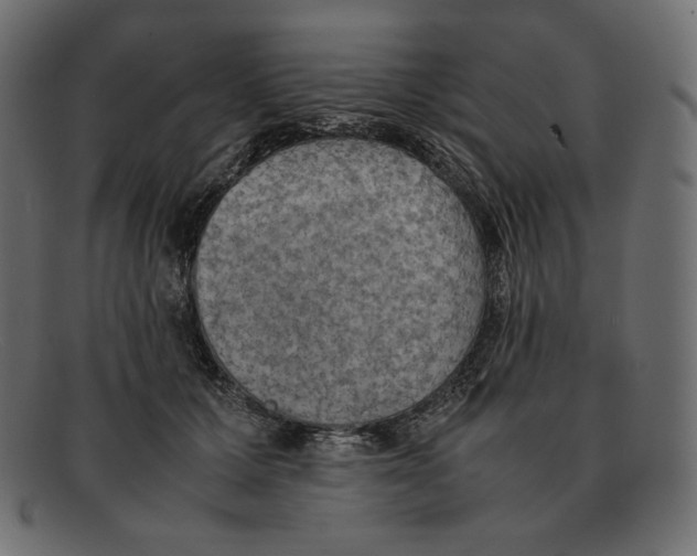 X0000092050607200710101017