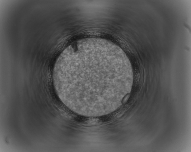 X0000092050609200710101017