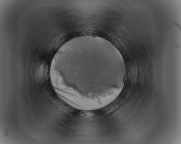 X0000092050610200710101017