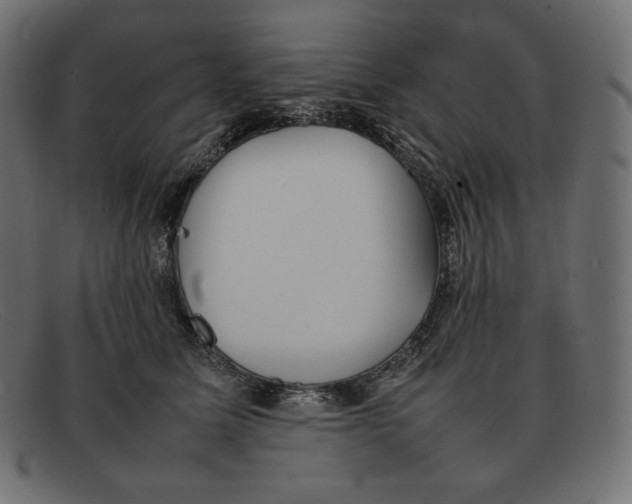 X0000092050611200710101017