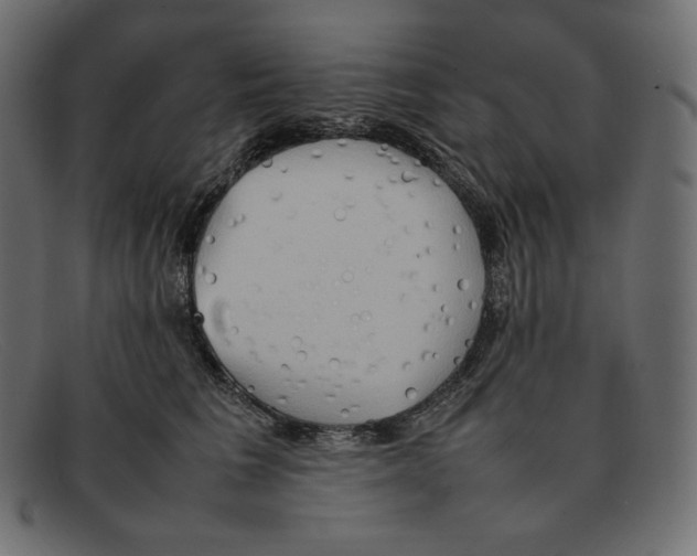 X0000092050613200710101017