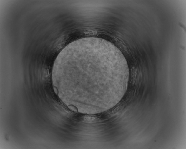 X0000092050614200710101017