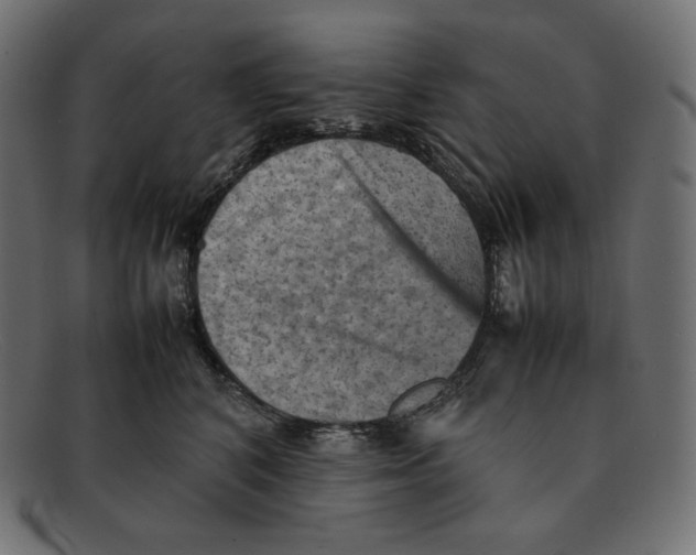 X0000092050616200710101017