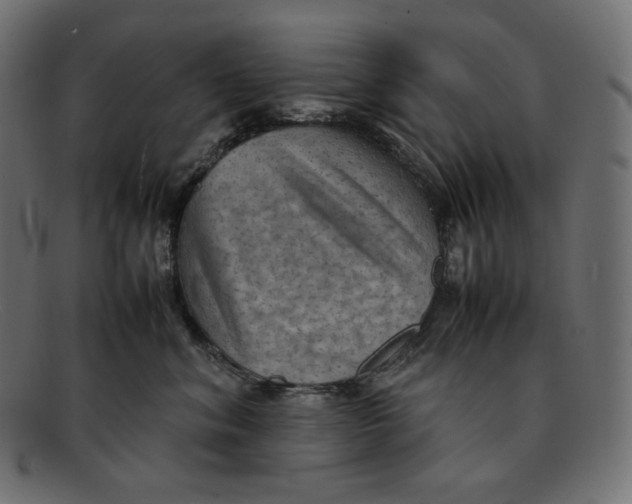 X0000092050620200710101017