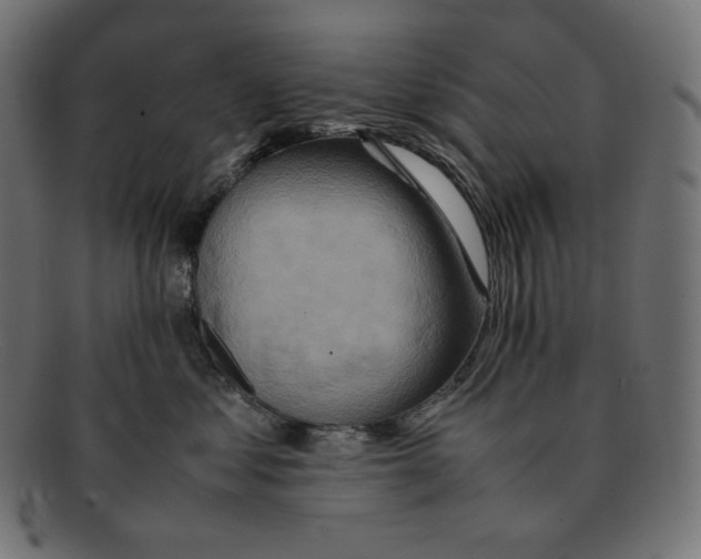 X0000092050621200710101017