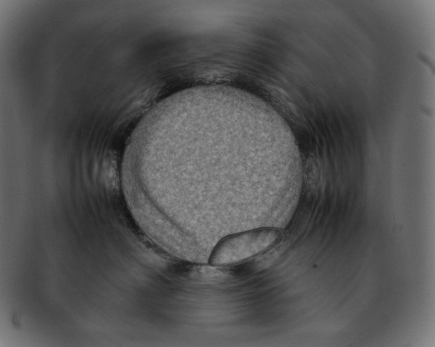 X0000092050622200710101017