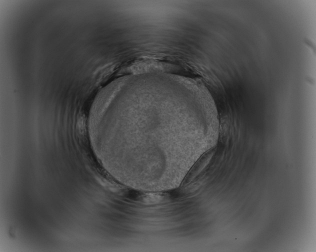 X0000092050623200710101017