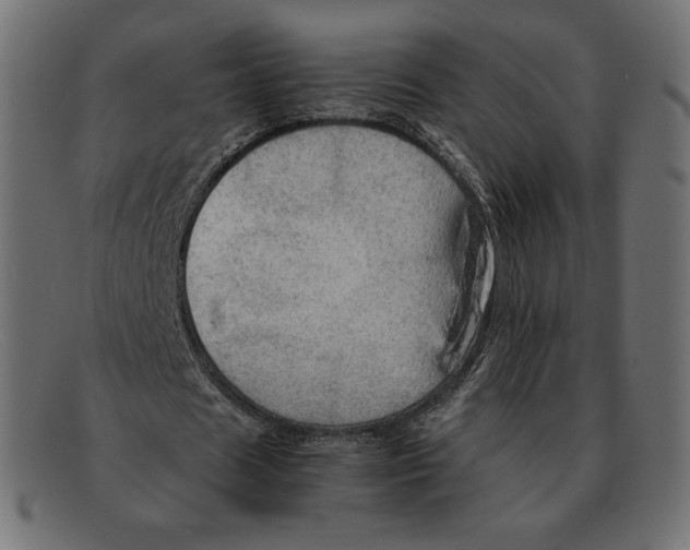 X0000092050625200710101016