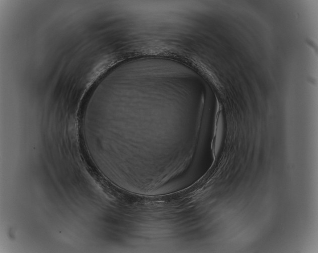 X0000092050626200710101016