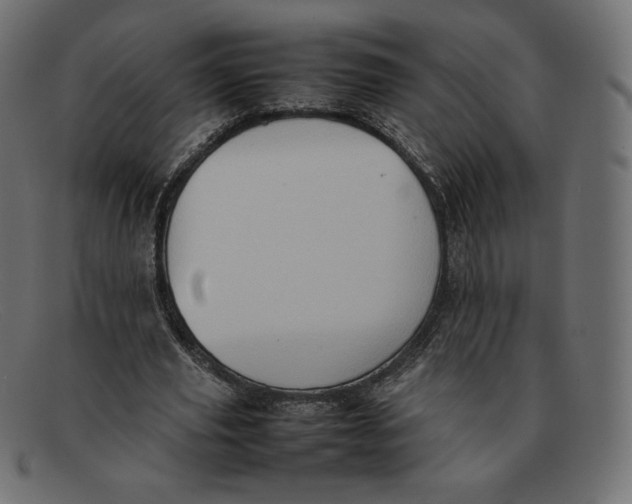 X0000092050629200710101016