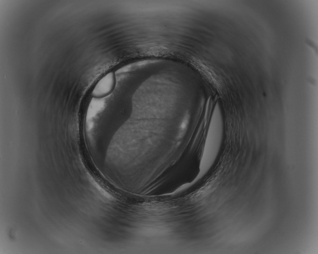 X0000092050630200710101016