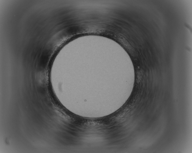 X0000092050632200710101016