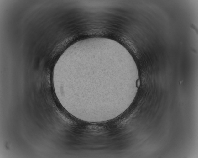 X0000092050633200710101016