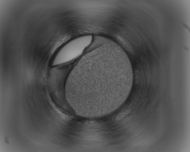 X0000092050634200710101016