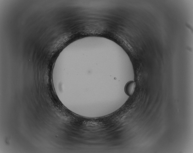 X0000092050635200710101016