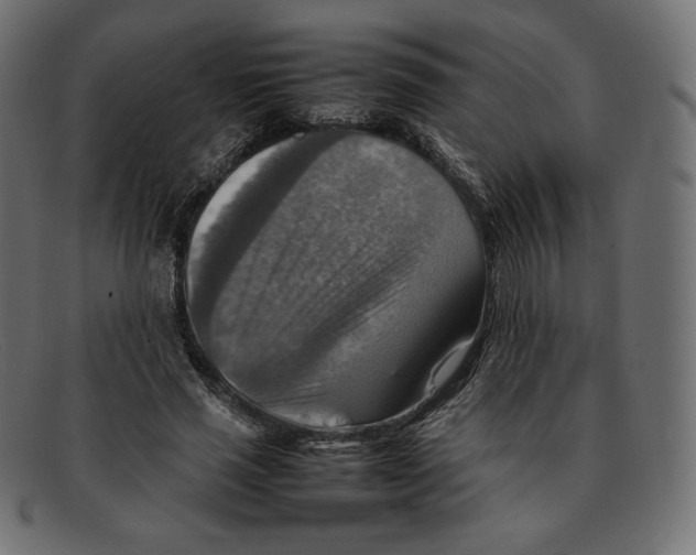 X0000092050637200710101016