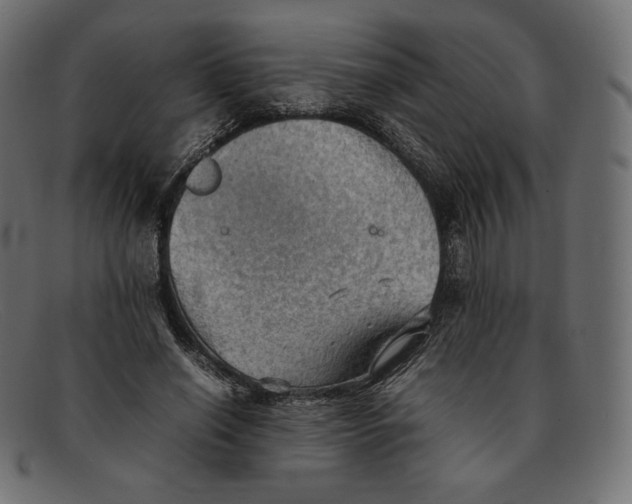 X0000092050638200710101016