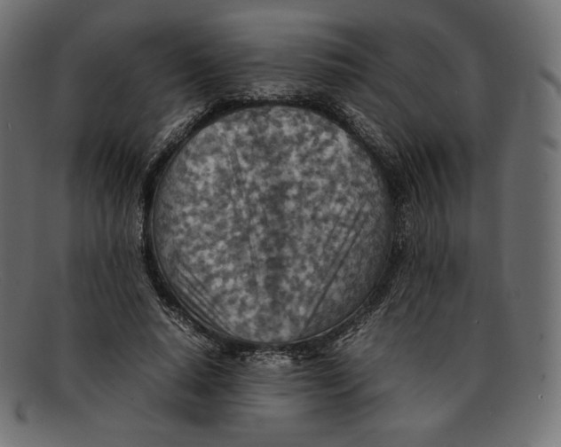 X0000092050640200710101016