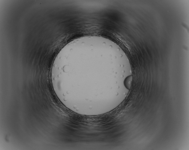 X0000092050641200710101016