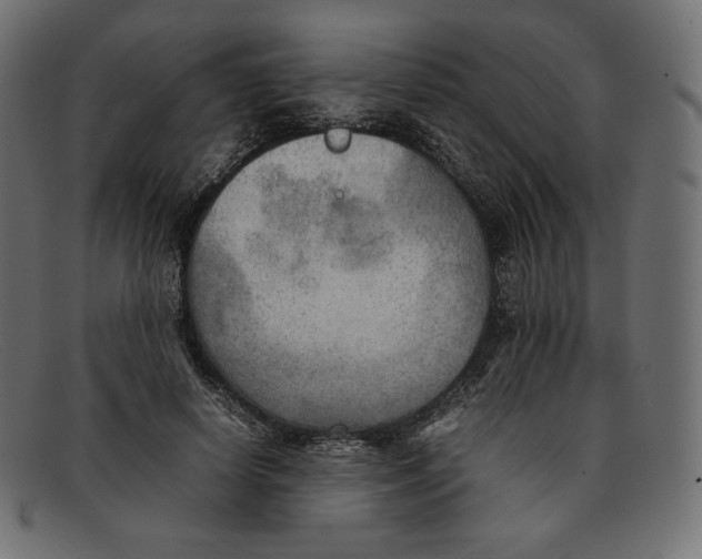 X0000092050642200710101016