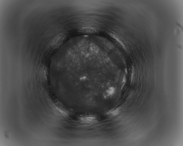 X0000092050643200710101016